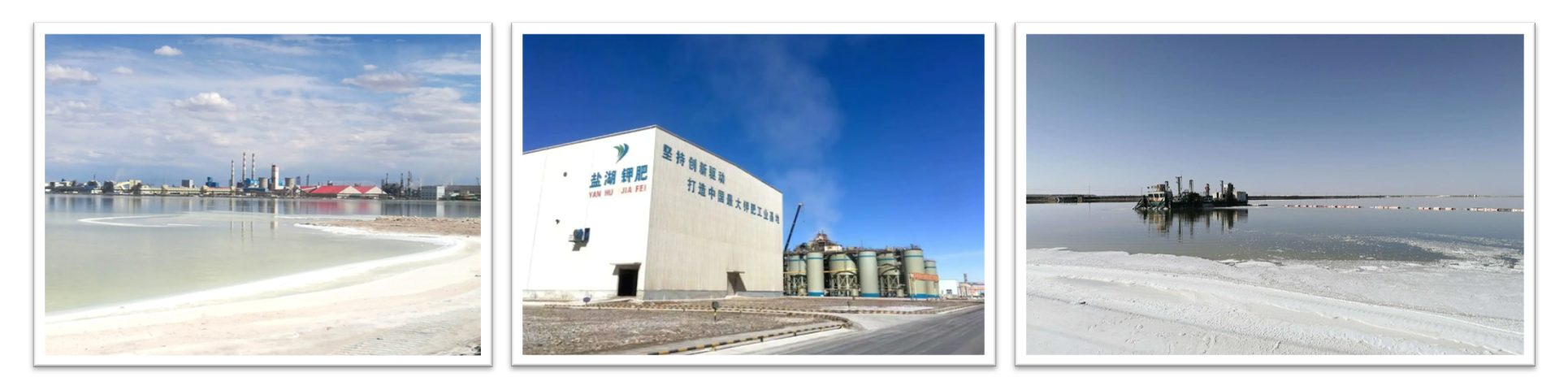 青海盐湖工业股份有限公司